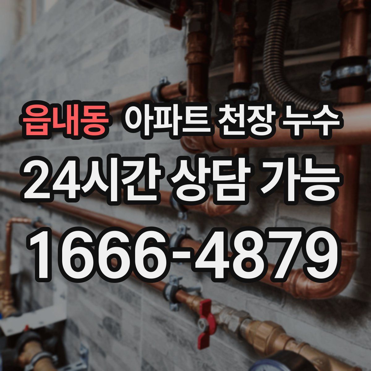 읍내동 아파트 천장 누수