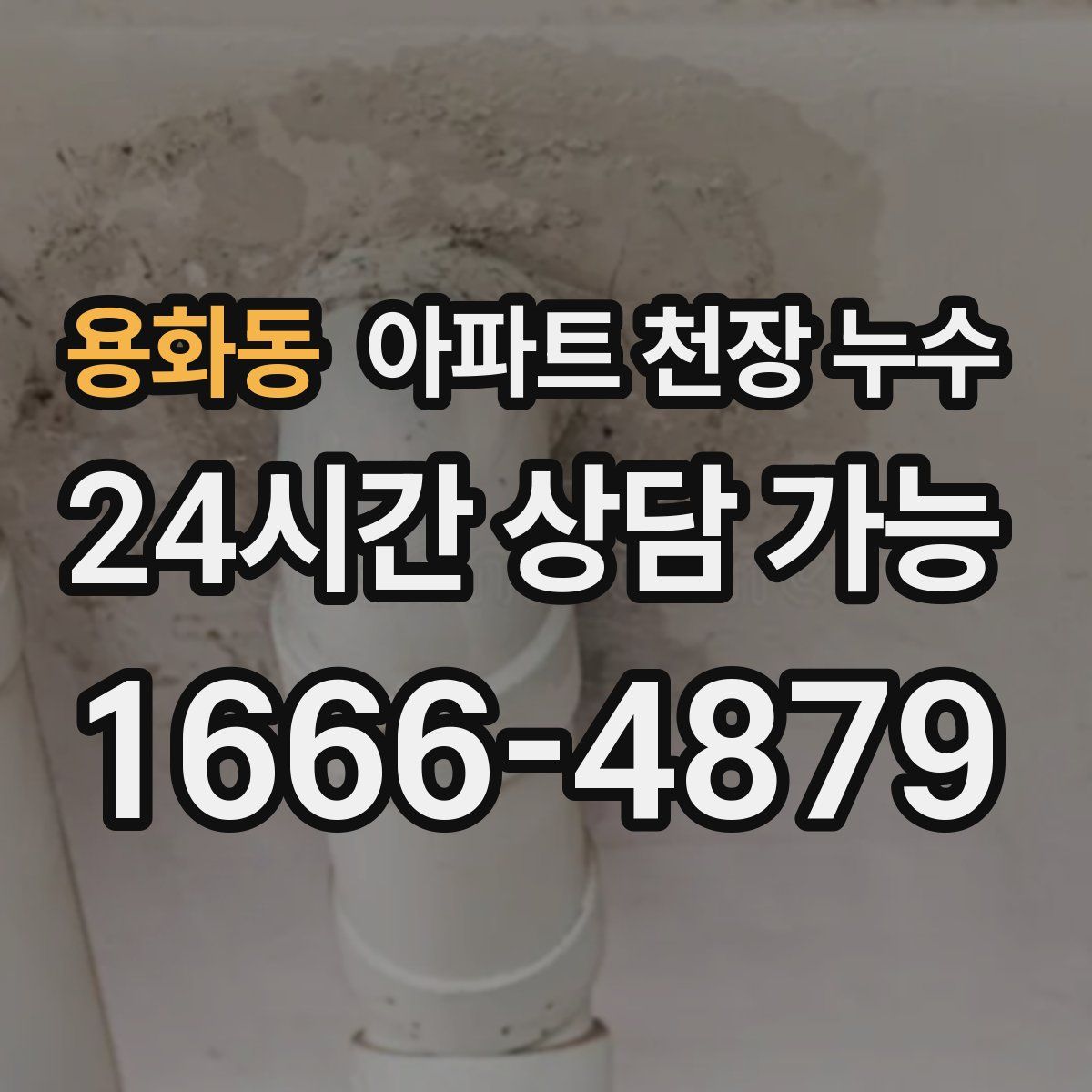 용화동 아파트 천장 누수