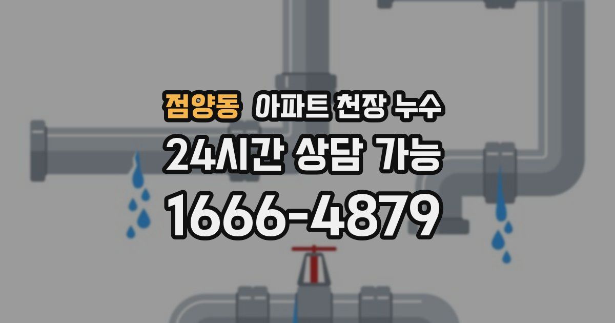 점양동 아파트 천장 누수