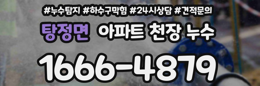 탕정면 아파트 천장 누수