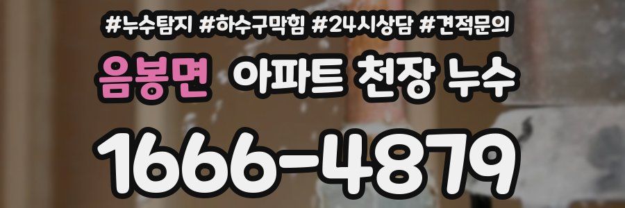 음봉면 아파트 천장 누수