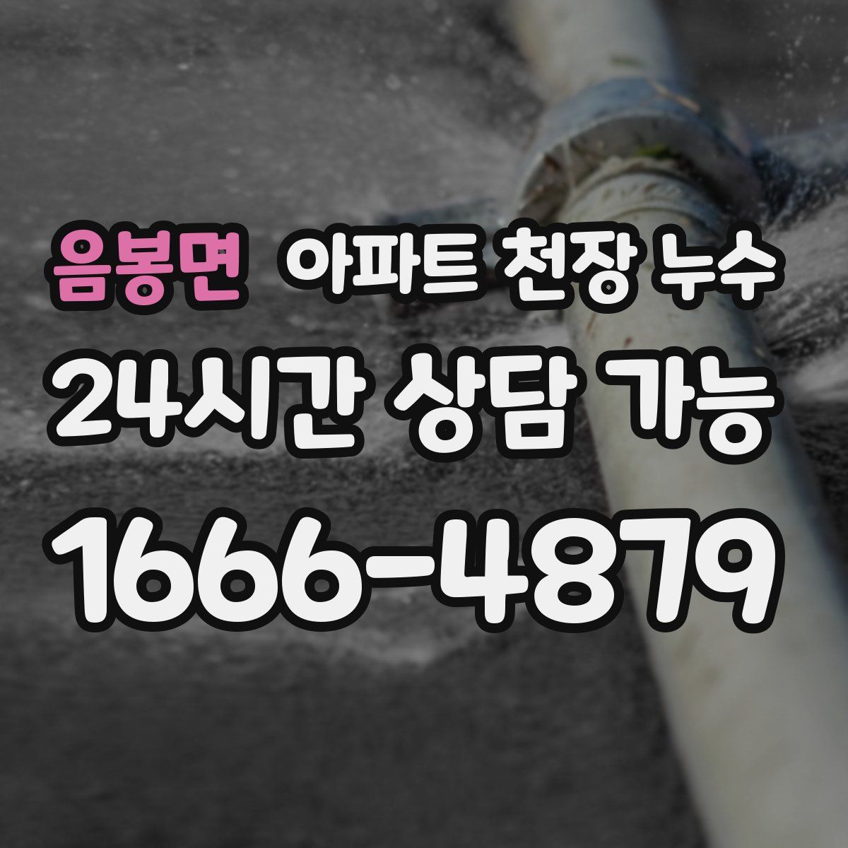 음봉면 아파트 천장 누수