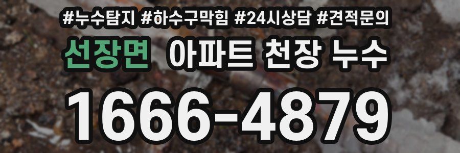선장면 아파트 천장 누수