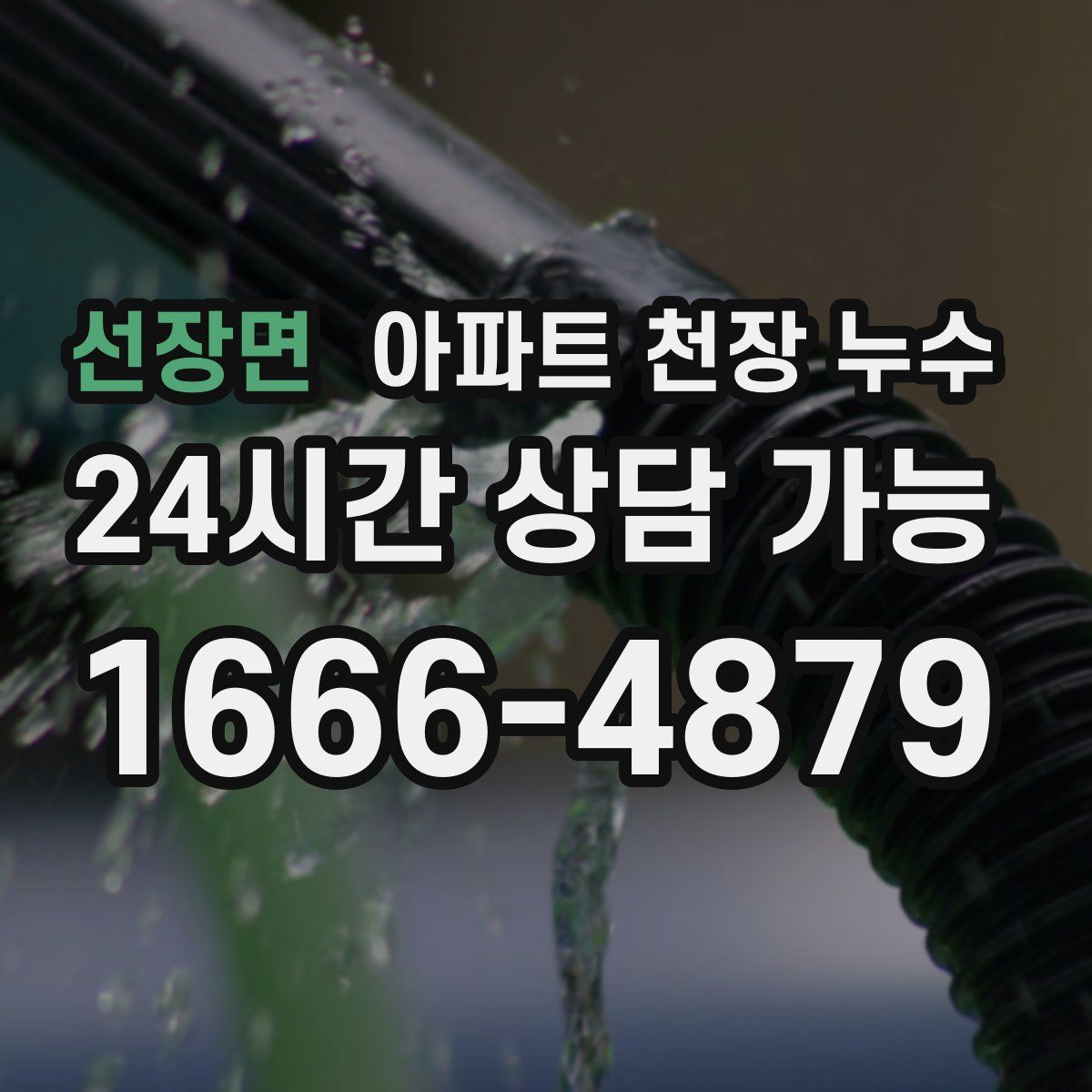 선장면 아파트 천장 누수