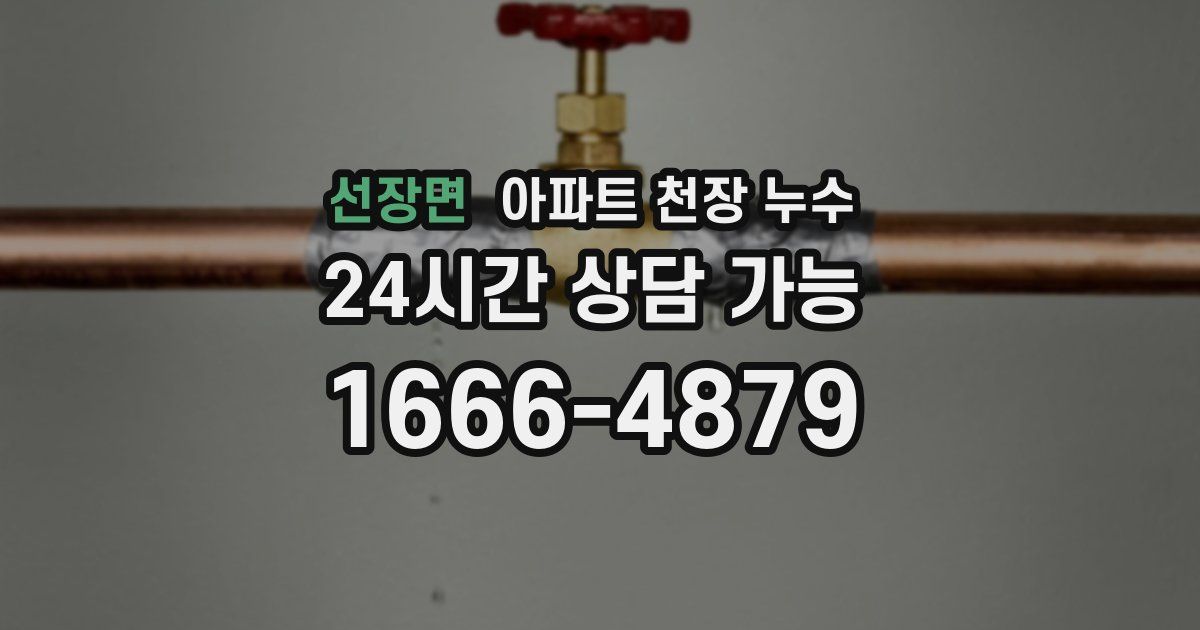 선장면 아파트 천장 누수