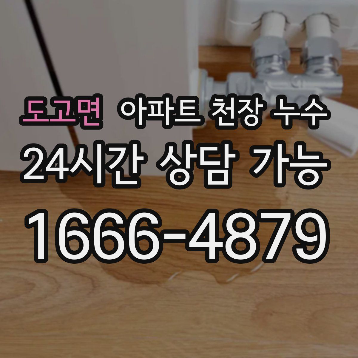 도고면 아파트 천장 누수
