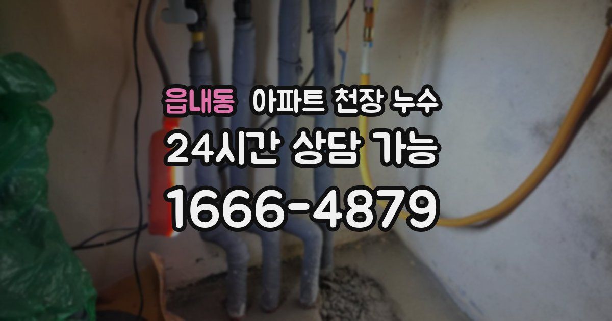 읍내동 아파트 천장 누수