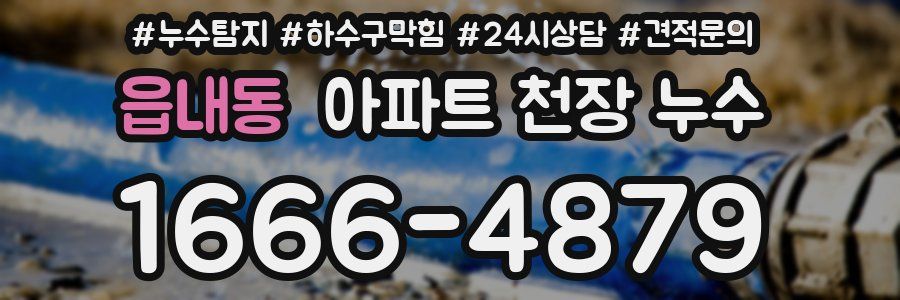 읍내동 아파트 천장 누수