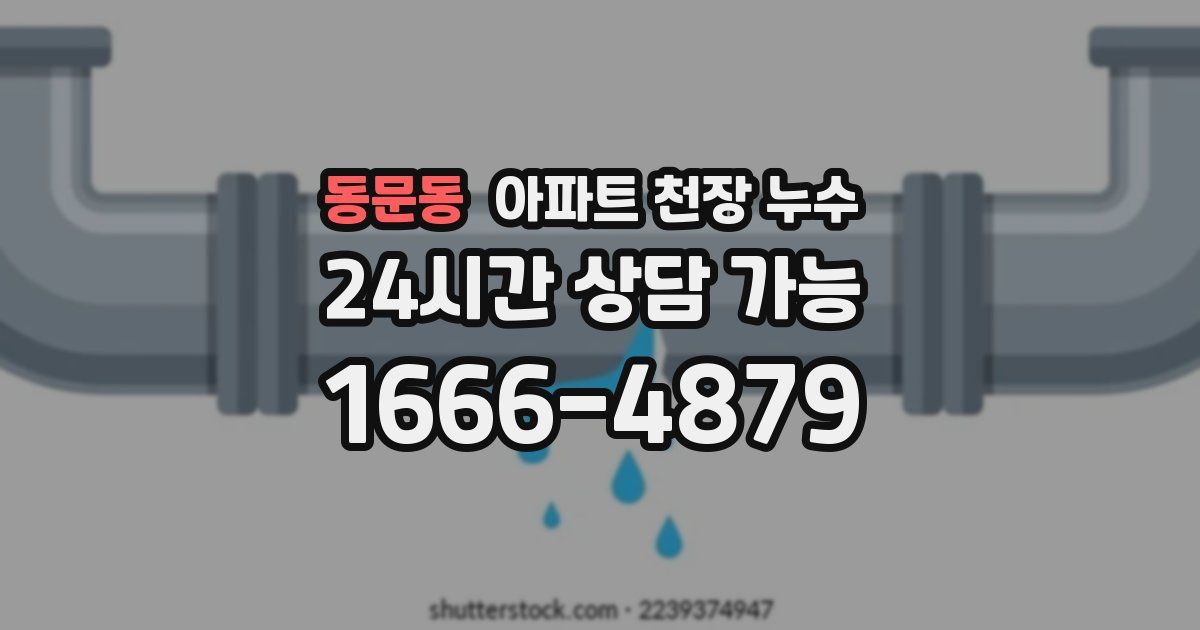 동문동 아파트 천장 누수