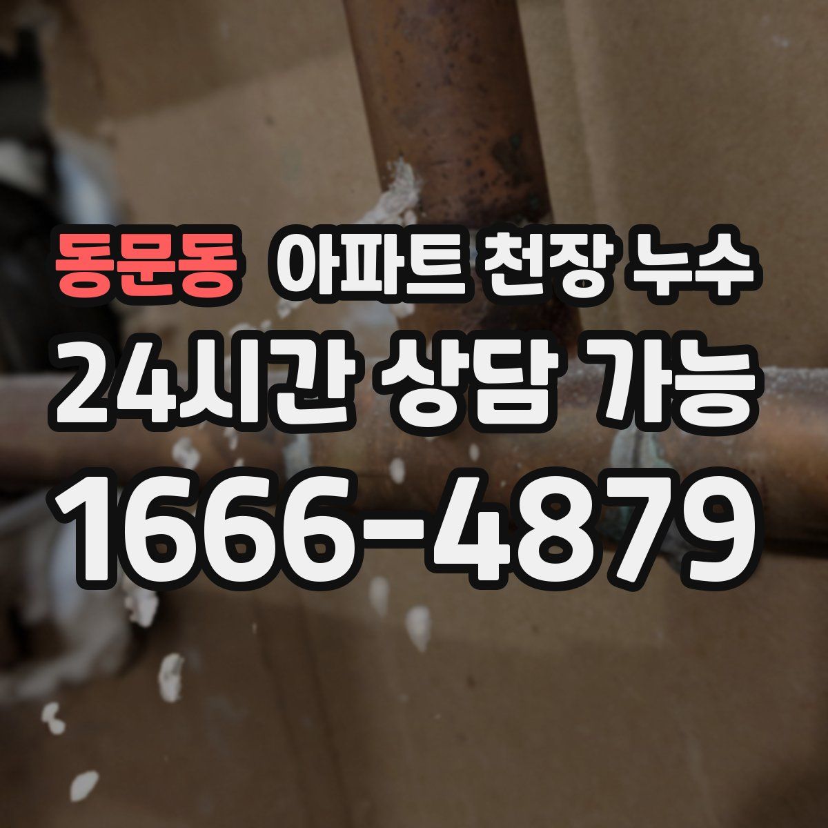동문동 아파트 천장 누수