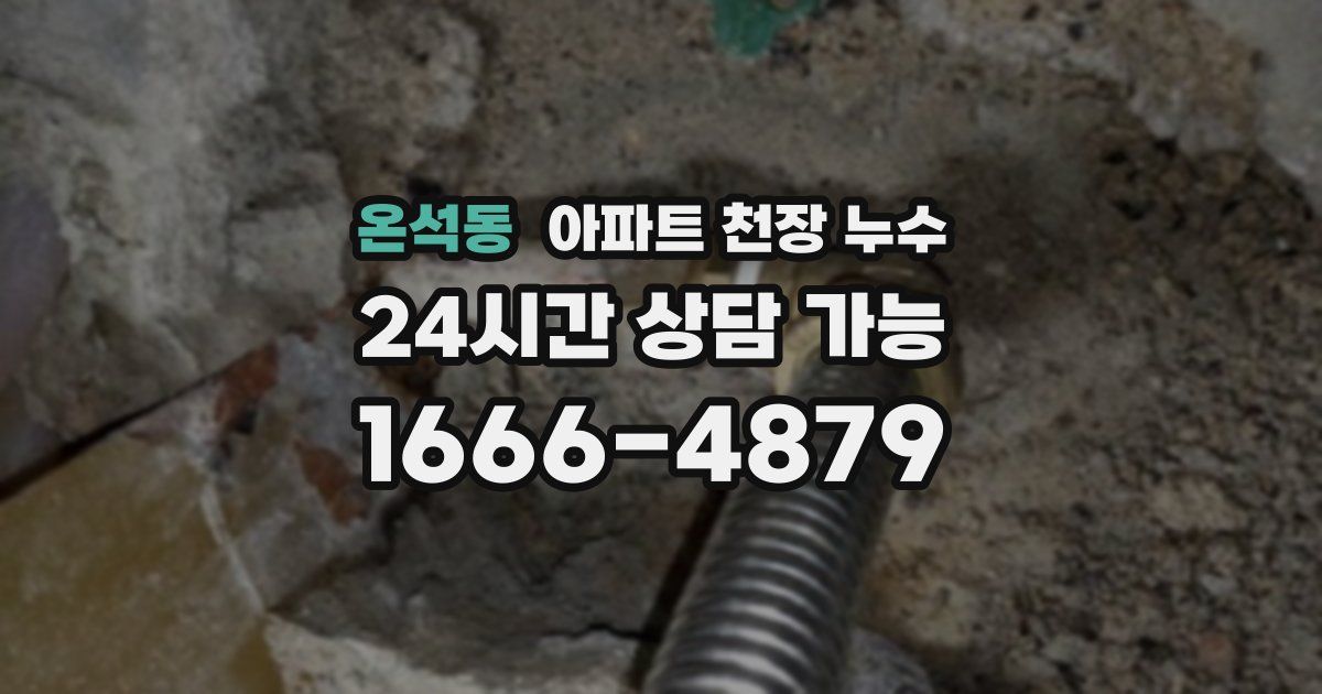 온석동 아파트 천장 누수