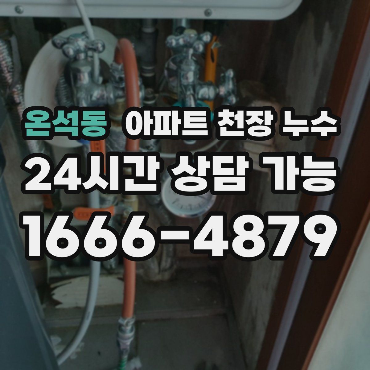 온석동 아파트 천장 누수