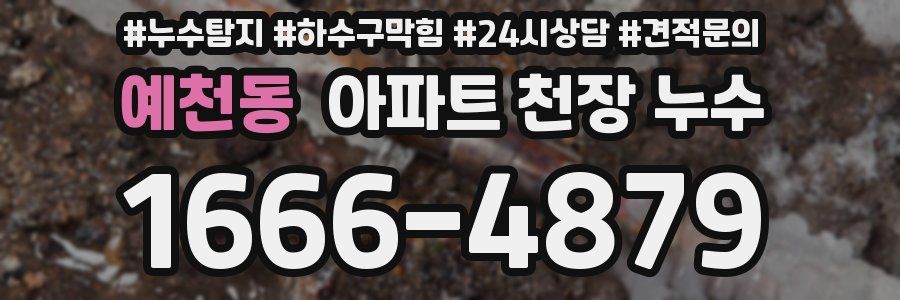 예천동 아파트 천장 누수