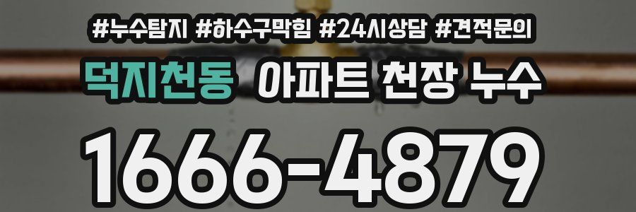 덕지천동 아파트 천장 누수