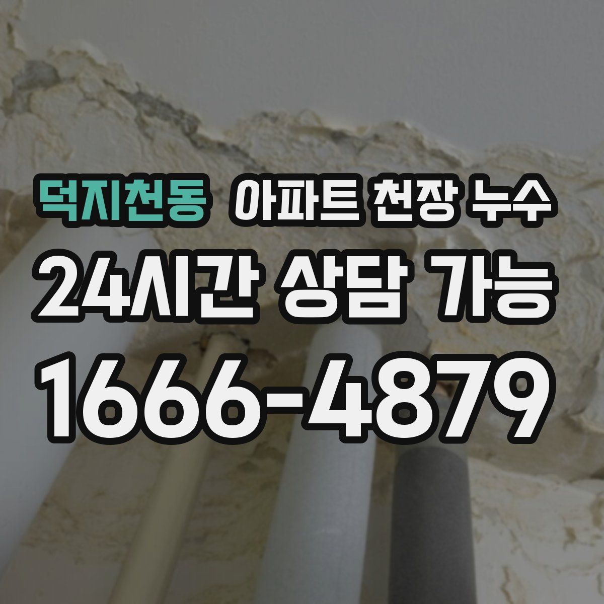 덕지천동 아파트 천장 누수