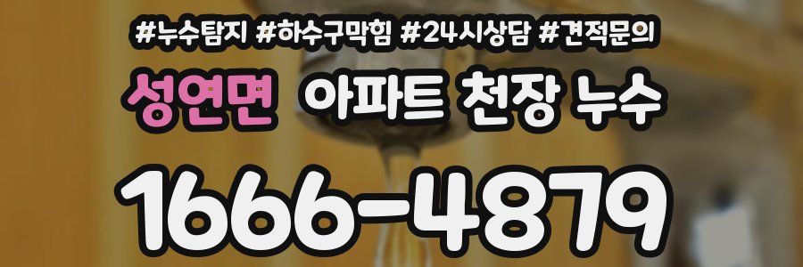 성연면 아파트 천장 누수