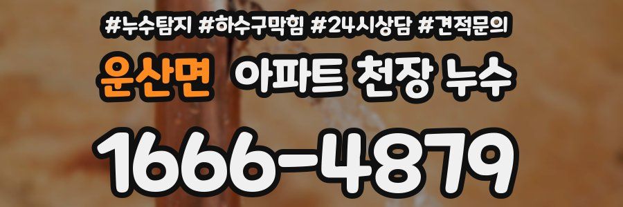 운산면 아파트 천장 누수