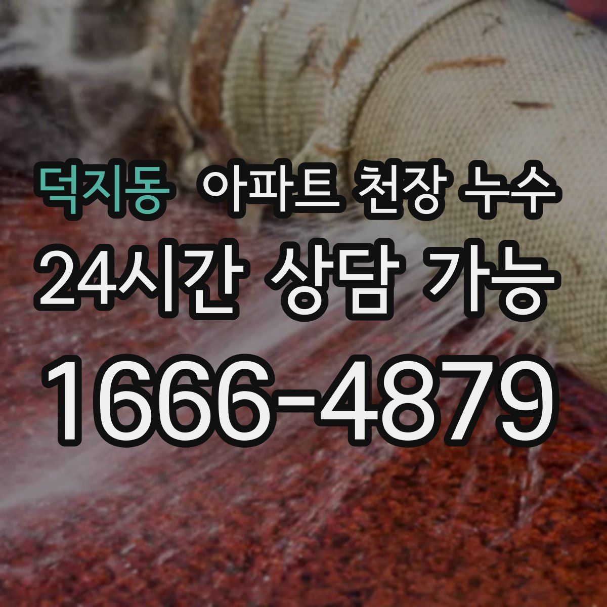 덕지동 아파트 천장 누수