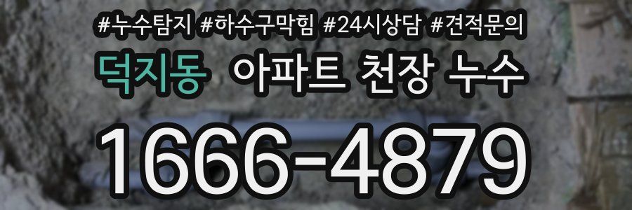 덕지동 아파트 천장 누수