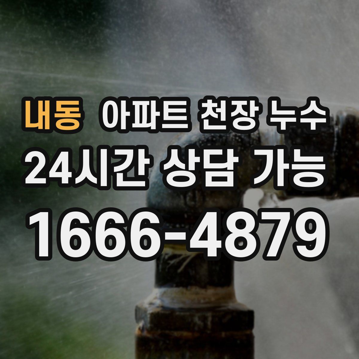 내동 아파트 천장 누수