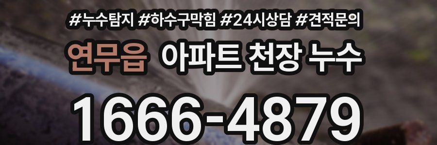 연무읍 아파트 천장 누수