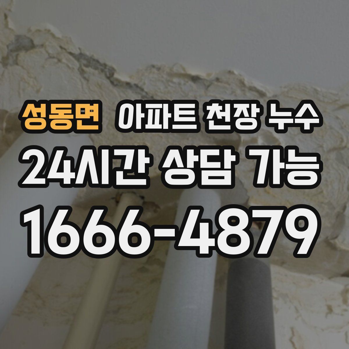 성동면 아파트 천장 누수