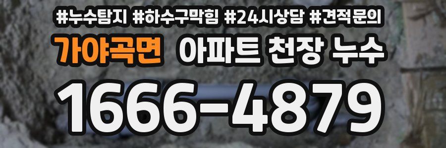가야곡면 아파트 천장 누수