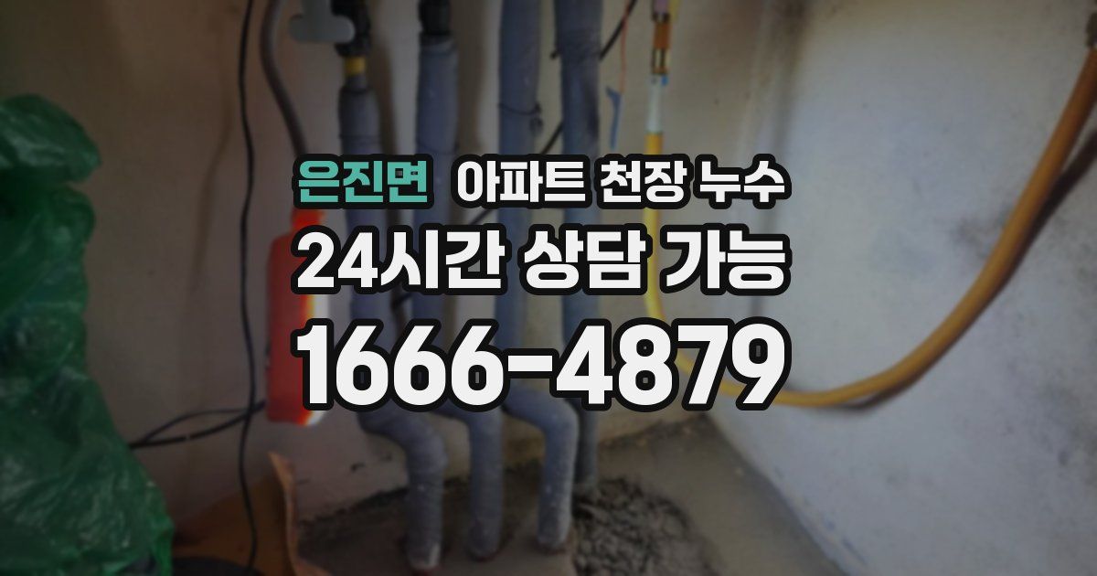 은진면 아파트 천장 누수