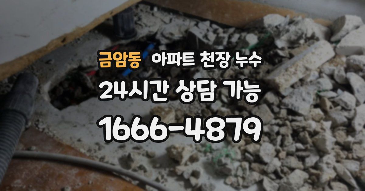 금암동 아파트 천장 누수