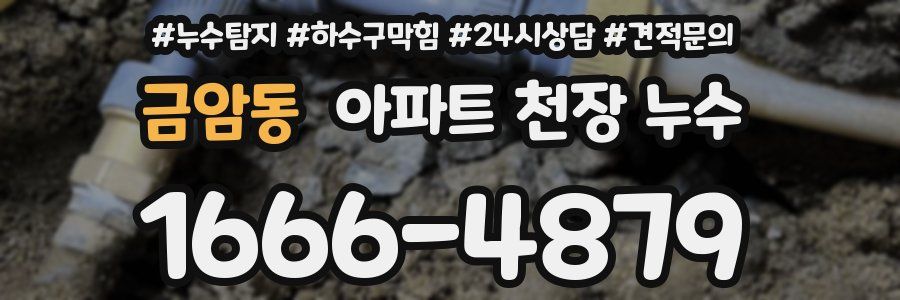 금암동 아파트 천장 누수