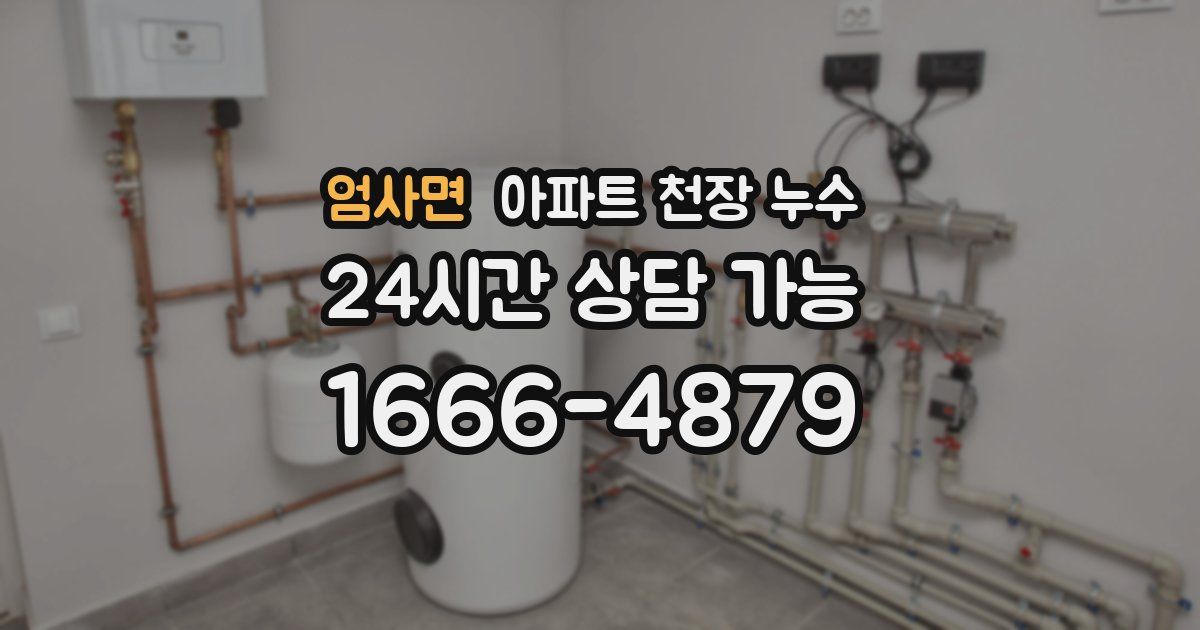 엄사면 아파트 천장 누수