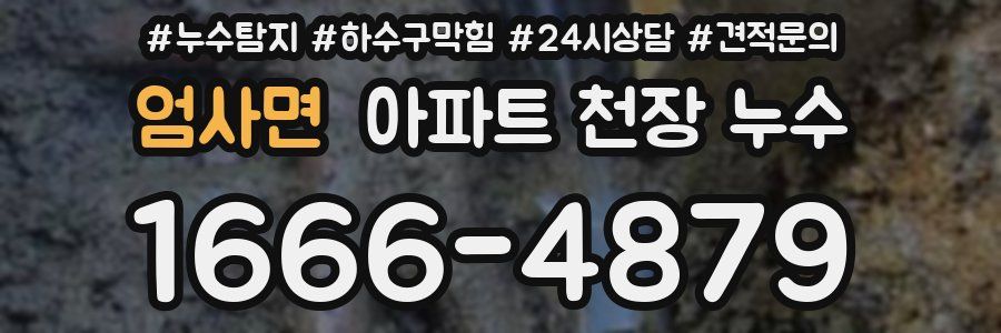 엄사면 아파트 천장 누수