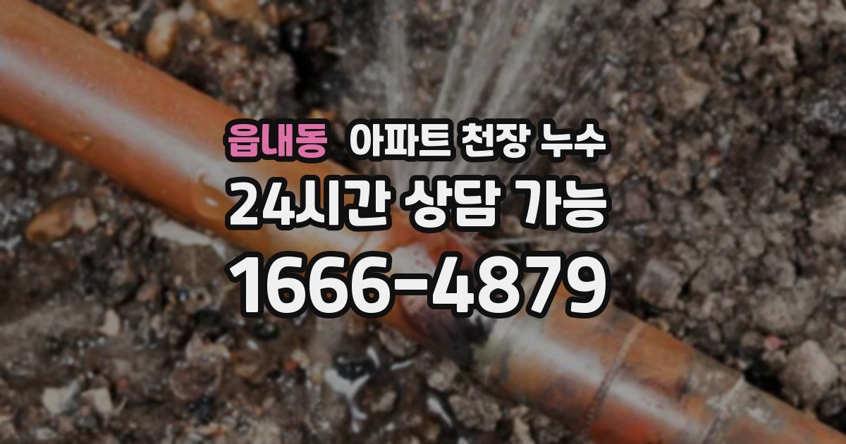 읍내동 아파트 천장 누수