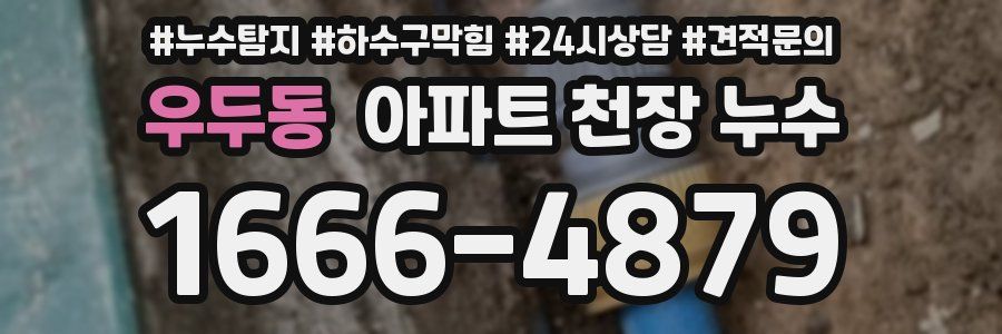 우두동 아파트 천장 누수