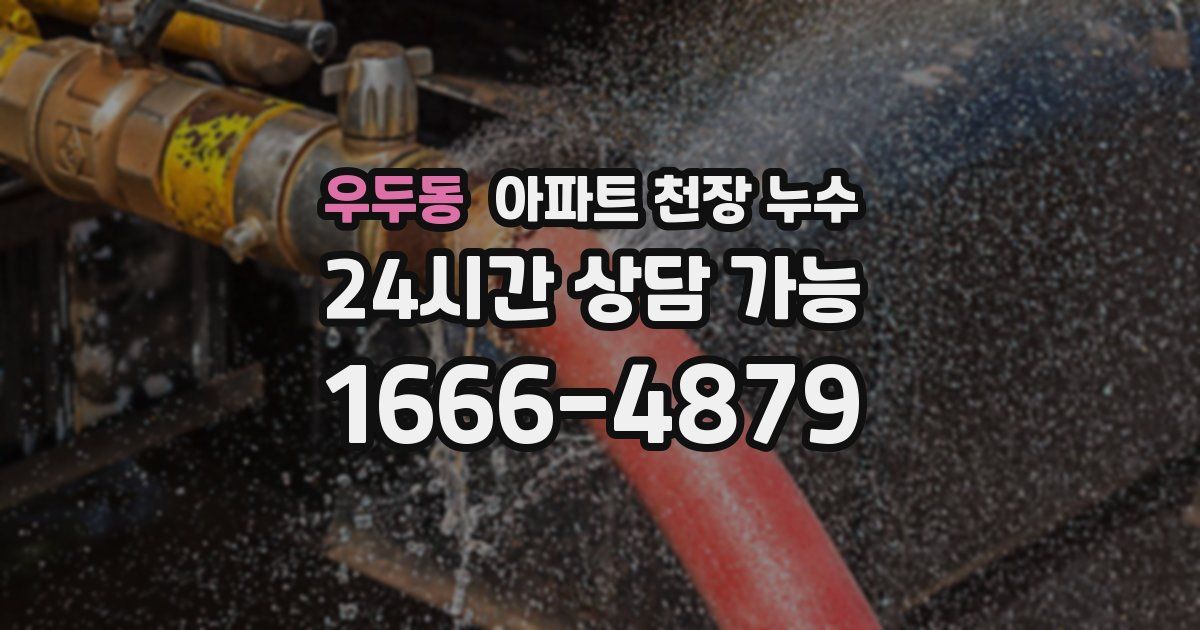 우두동 아파트 천장 누수