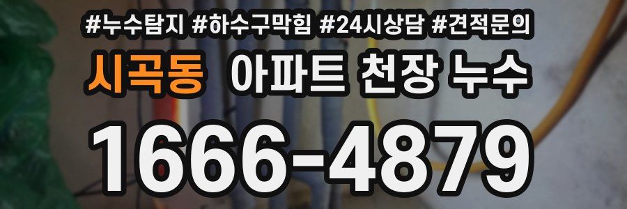 시곡동 아파트 천장 누수