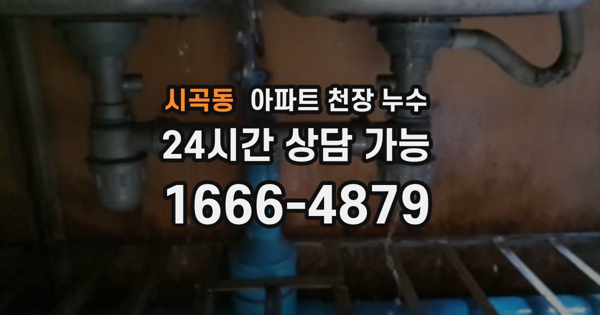 시곡동 아파트 천장 누수