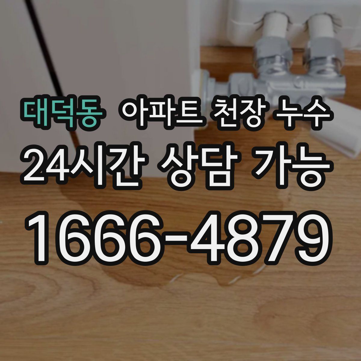대덕동 아파트 천장 누수