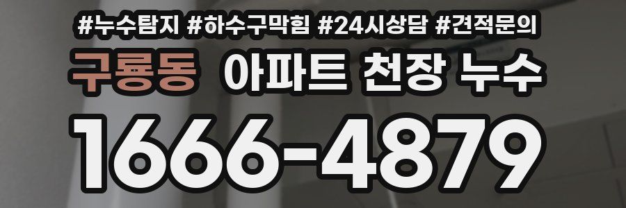 구룡동 아파트 천장 누수