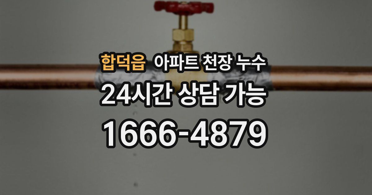 합덕읍 아파트 천장 누수