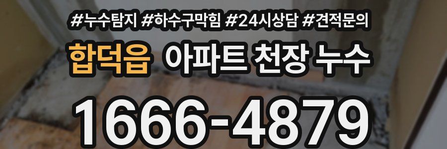 합덕읍 아파트 천장 누수