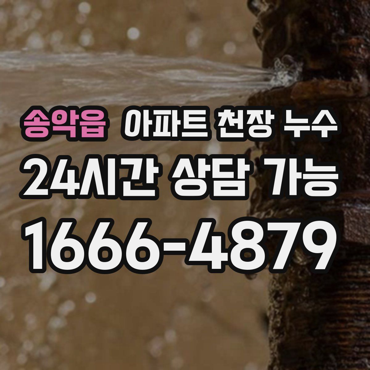 송악읍 아파트 천장 누수