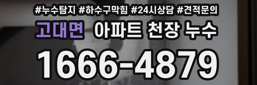 고대면 아파트 천장 누수