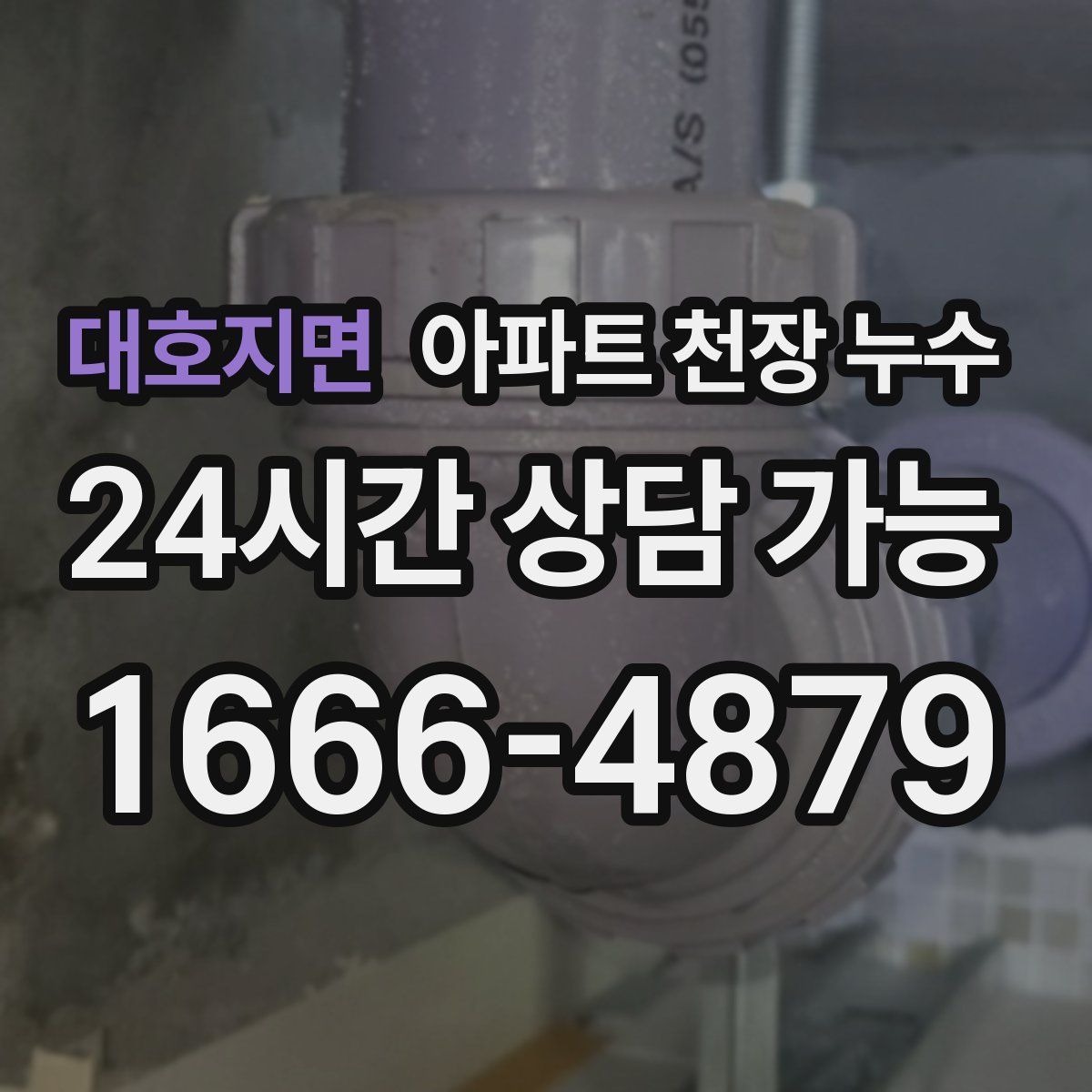 대호지면 아파트 천장 누수