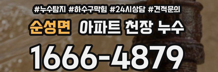 순성면 아파트 천장 누수
