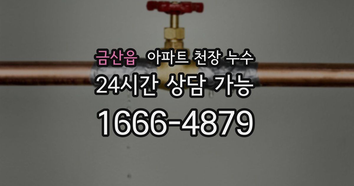 금산읍 아파트 천장 누수