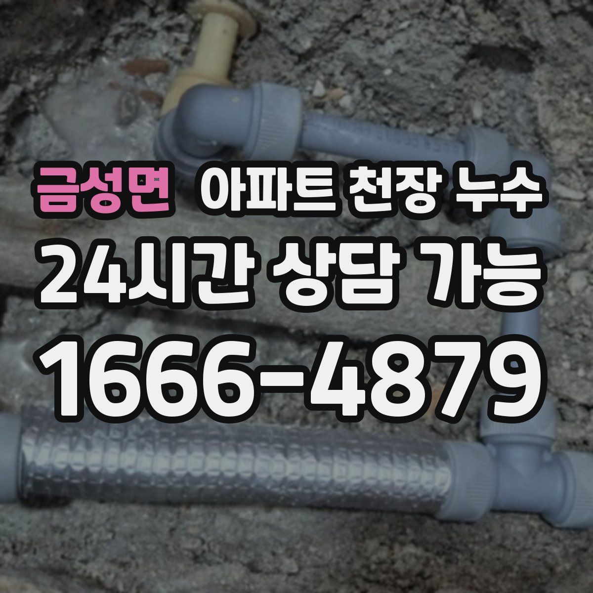 금성면 아파트 천장 누수