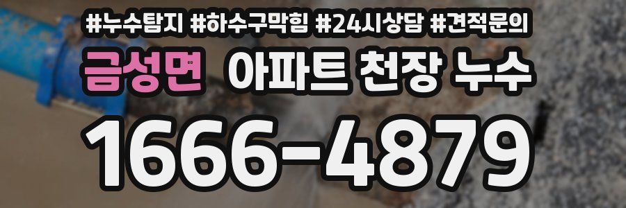 금성면 아파트 천장 누수