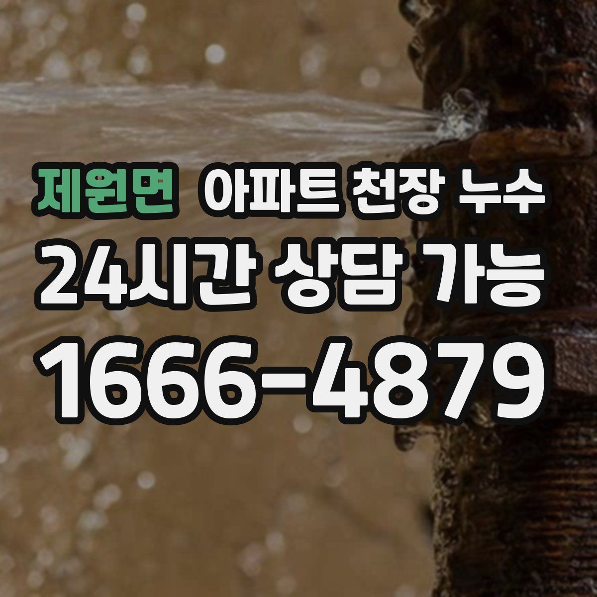 제원면 아파트 천장 누수