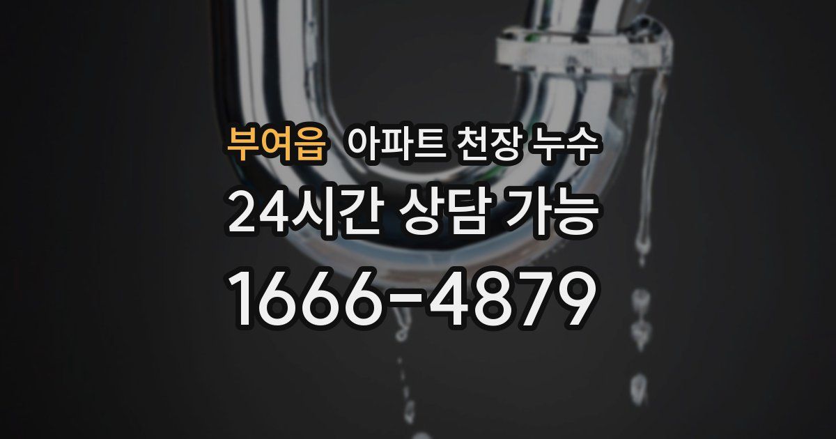 부여읍 아파트 천장 누수